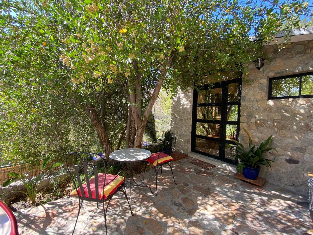 Cabanas Caballieri Pisco Elqui Exterior photo